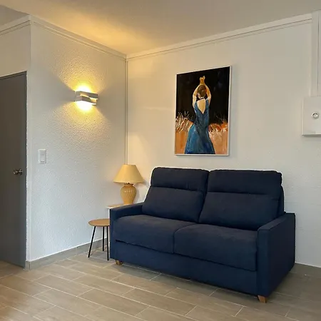 Apartment Climatise Pour 2 Pers Avec Loggia & Parking A 200m De La A Saint-cyprien - Fr-1-793-18